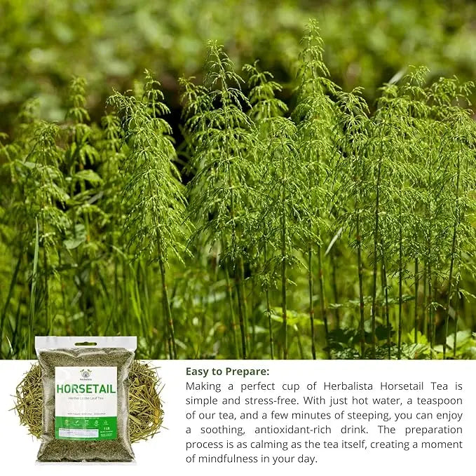 Herbalista Horsetail Loose Tea 4 oz (113g)