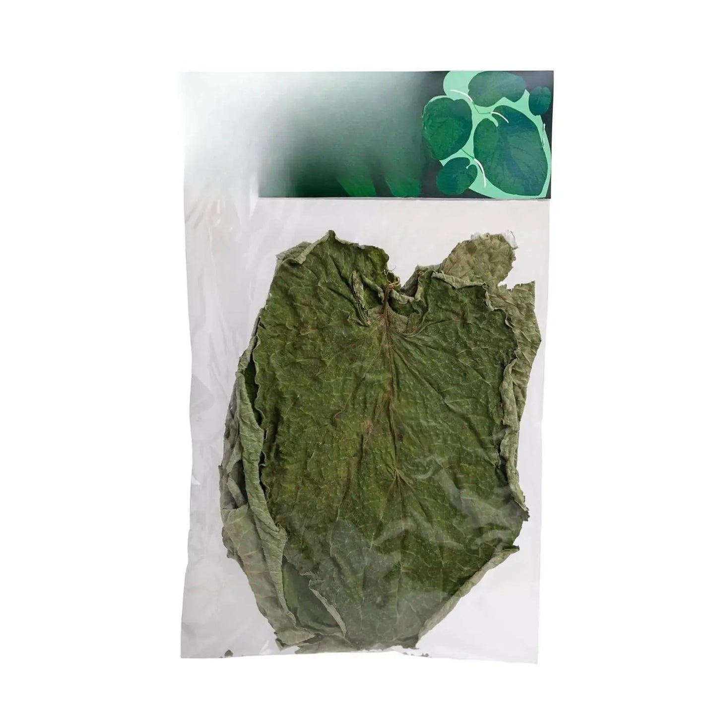 Hoja Santa Saint Leaf 20g Natural Herb