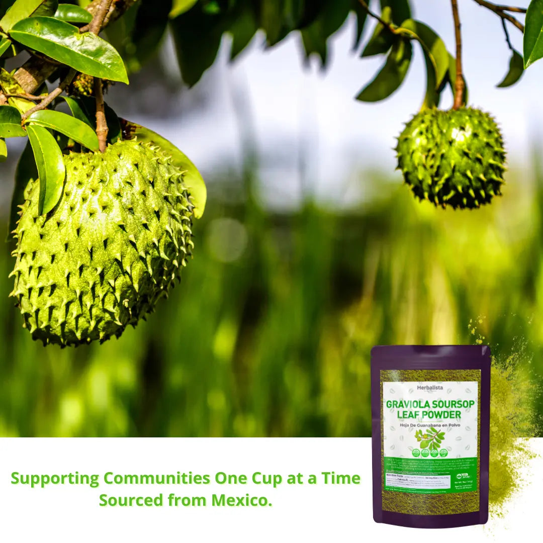 Herbalista Soursop Leaf Powder 100% Natural