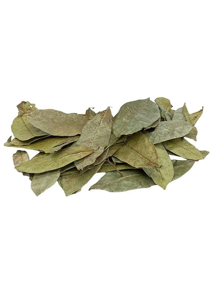 Yerbero Whole Graviola (Soursop) Leaves (4oz - 300+ Leaves Per Bag)