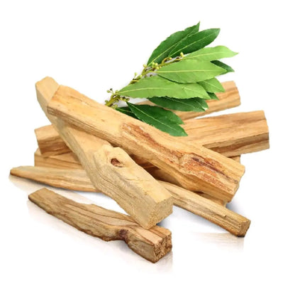 Palo Santo Smudging Sticks 3 Pack (4 Inch)