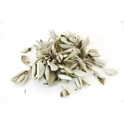 Premium White Sage Cluster 4oz (114g)