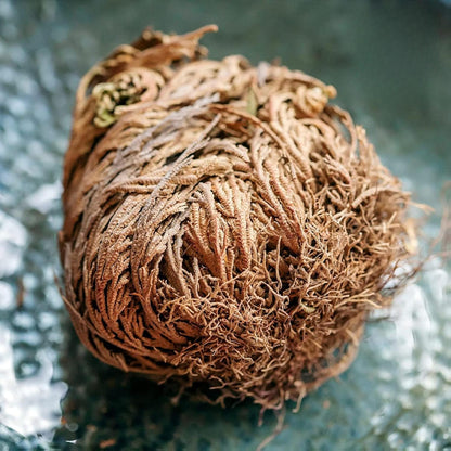 6 Pack Big Rose Jericho Dried Flower 2.5''-3.5'' | Selaginella Lepidophylla | Resurrection Plant | Jumbo Size Dried Rose | Abundance, Prosperity, Sacred Rose, Doradilla Plant | 3.5'' - 6''