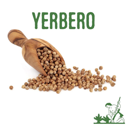Yerbero Coriander Seeds 7oz (198g)