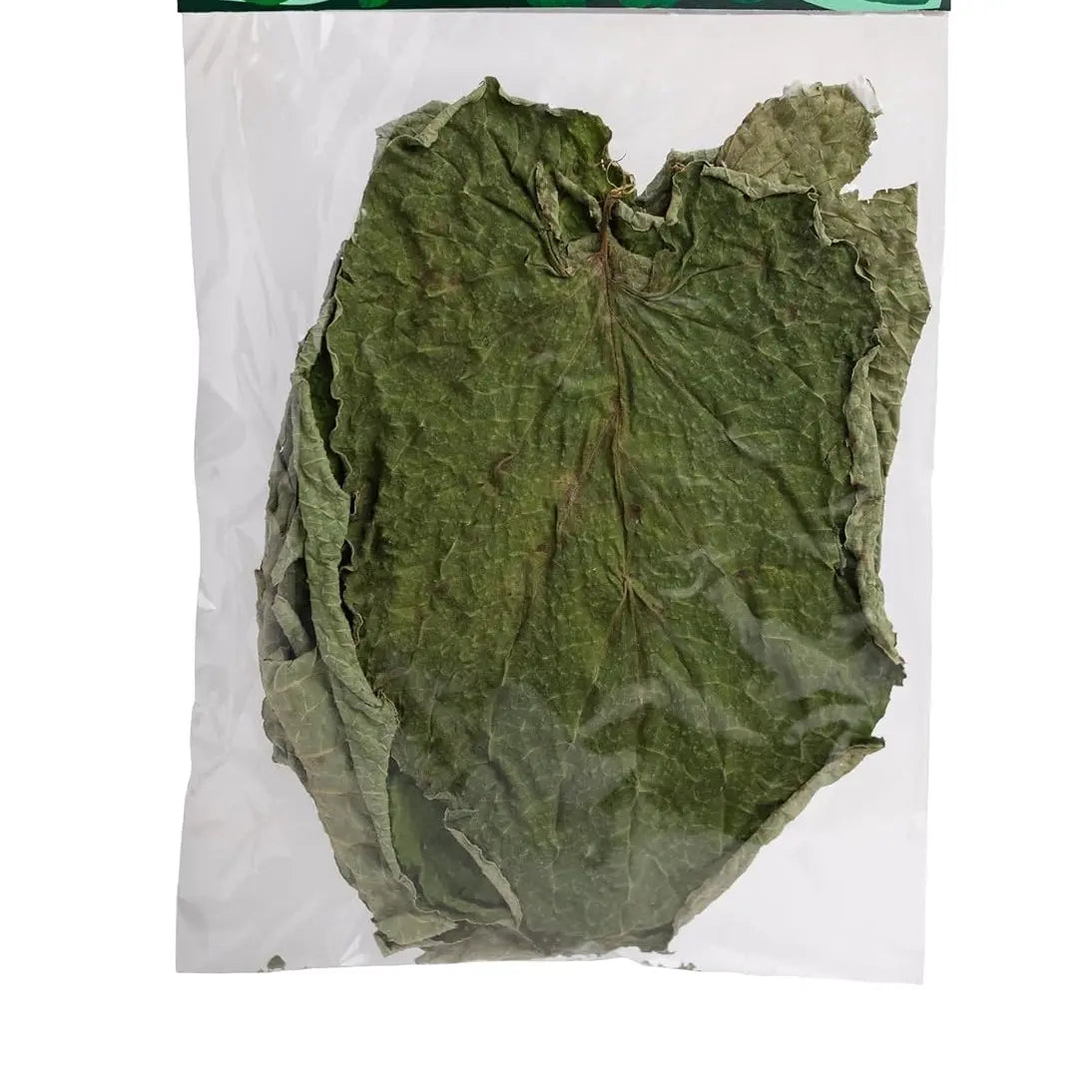 Hoja Santa Saint Leaf 20g Natural Herb
