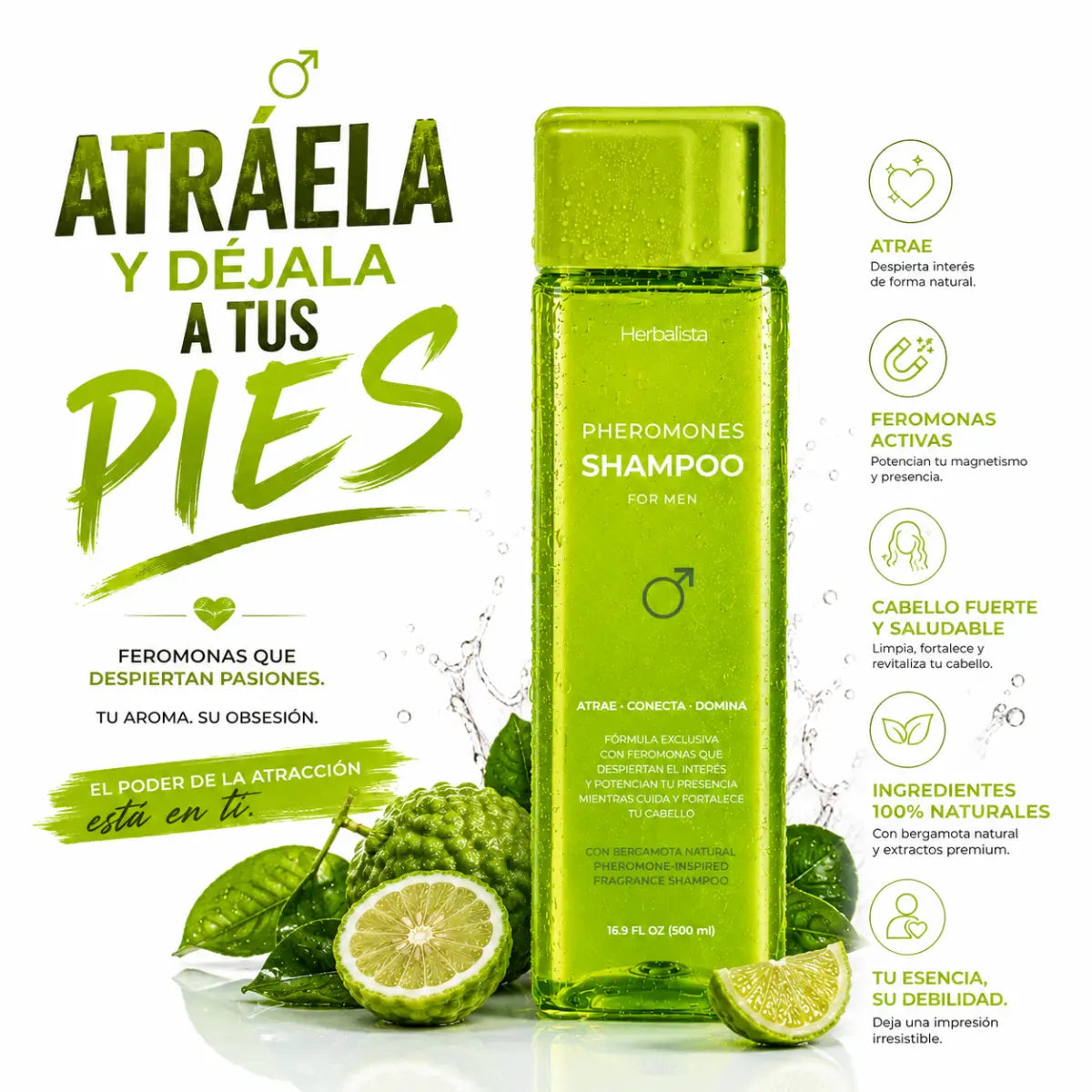 Herbalista Feromonas Bergamot Shampoo for Men 500ml