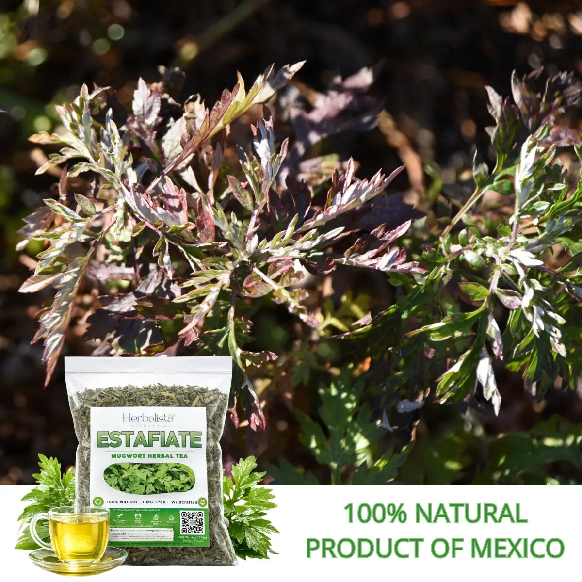 Herbalista Estafiate Herbal Loose Leaf Tea 4oz (114g)
