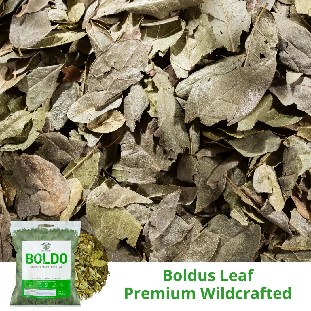 Herbalista Boldo Loose Leaf Herbal Tea 4 oz (114g)