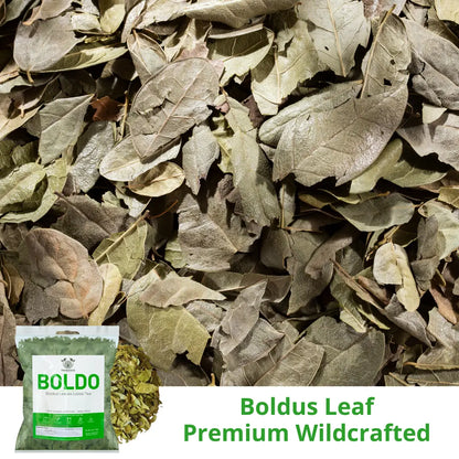 Herbalista Boldo Loose Leaf Herbal Tea 4 oz (114g)