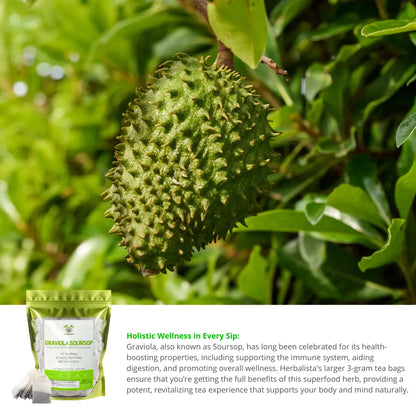 Soursop (Guanabana) Tea Bags – 40 Count 4.2oz