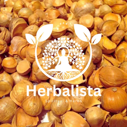 Herbalista Japanese Garlic (Ajo Japones)
