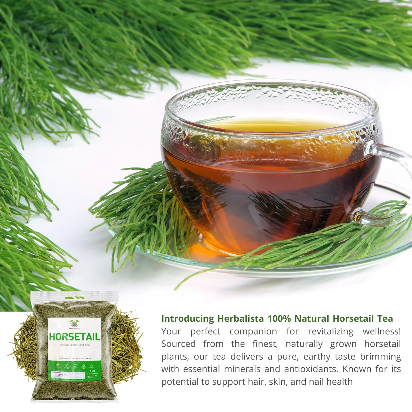 Herbalista Horsetail Loose Tea 4 oz (113g)