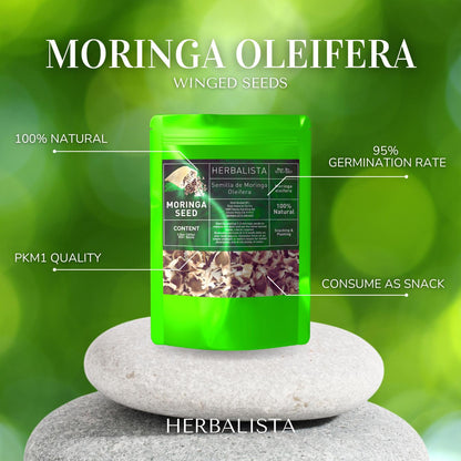 Moringa Seeds 3.5oz (100g) Approx. 350+ Seeds