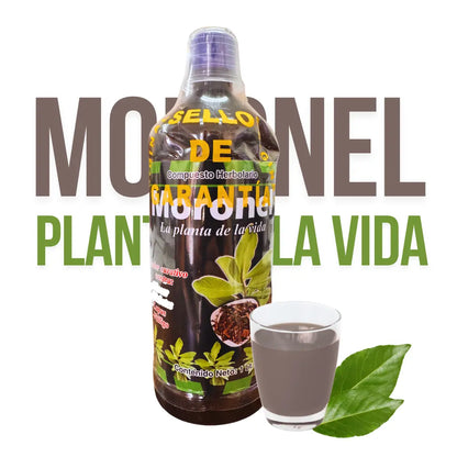 Moronel, Graviola, Cancerina & Nopal Juice Tonic 1L (33.3 fl oz)