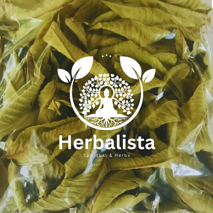 Wildcrafted Guava Leaf Tea (Hoja de Guayaba) - 5oz (141g)