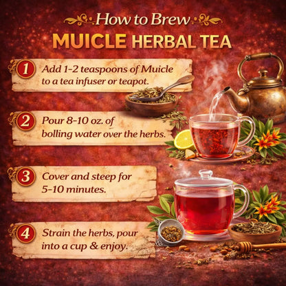Herbalista Muicle Herbal Tea 24 Pack 4oz