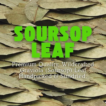Herbalista Graviola Soursop Herbal Tea (4 oz | 350+ Leaves)