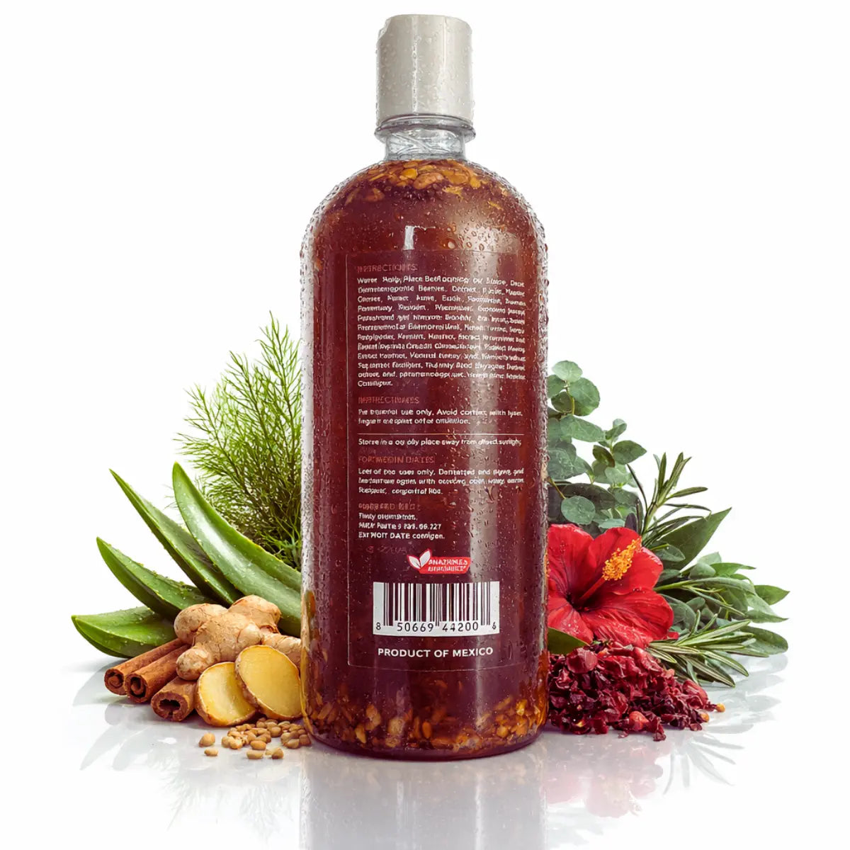 Herbalista Concentrated Herbal Shampoo 1000ml (33.8 fl oz)