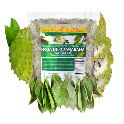Yerbero Whole Graviola Soursop Leaves 5oz (400+ Leaves)