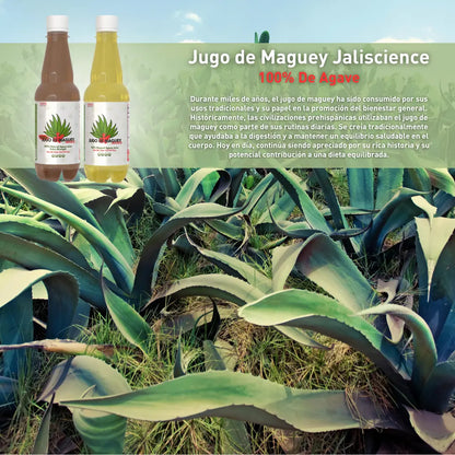 Yerbero Jalisco Roasted Maguey Juice 33.3 Fl oz (1 Liter)