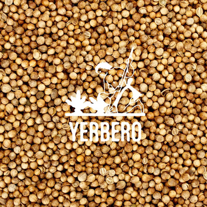 Yerbero Coriander Seeds 1 lb (16 oz / 453g)