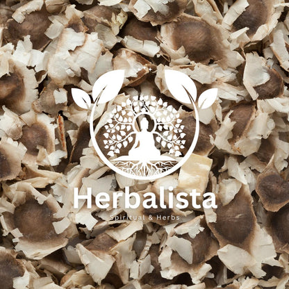 Herbalista Moringa Seeds 1oz (28g) Approx. 100+ Seeds