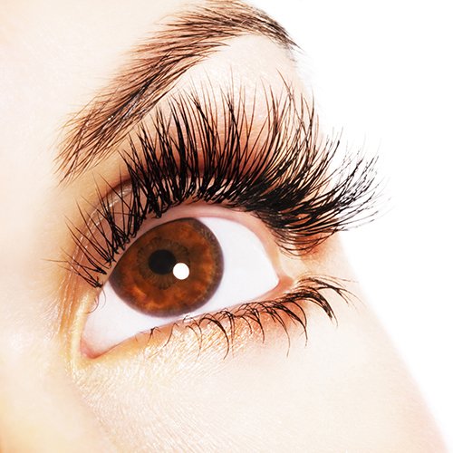 Yegualash - Eyelash and Eyebrow Growth Enhancement & Conditioning Gel For Long Beautiful Lashes