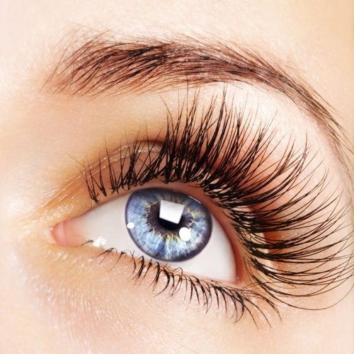 Yegualash - Eyelash and Eyebrow Growth Enhancement & Conditioning Gel For Long Beautiful Lashes