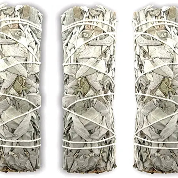 California White Sage Incense 3-Pack 4 Inch