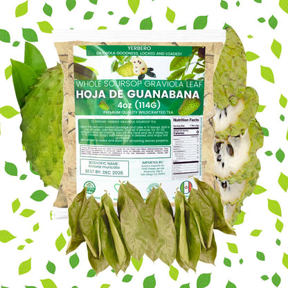 Yerbero Whole Graviola (Soursop) Leaves (4oz - 300+ Leaves Per Bag)