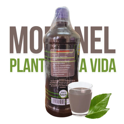 Moronel, Graviola, Cancerina & Nopal Juice Tonic 1L (33.3 fl oz)