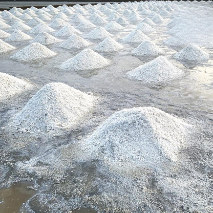 Yerbero Colima Mexican Sea Salt Unrefined 1lb (456g)