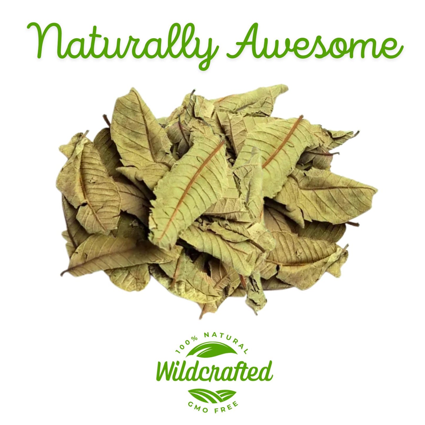 Herbalista - Wildcrafted Whole Guava Leaf Tea (Hoja de Guayaba) | Pure & Natural Loose Leaf Guava Tea | Handpicked, Non-GMO,...