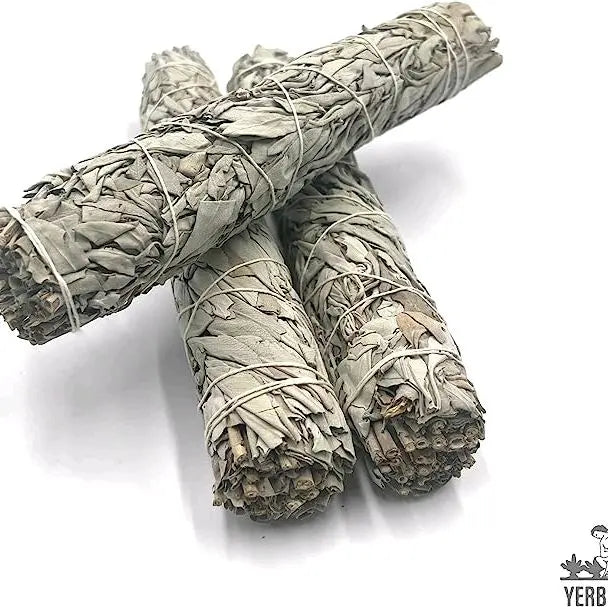 California White Sage Incense 3-Pack 4 Inch