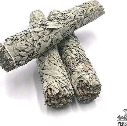 California White Sage Incense 3-Pack 4 Inch