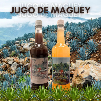Herbalista Maguey Tarasco Juice Tonic Bundle 3 x 33.3 fl oz (1L)