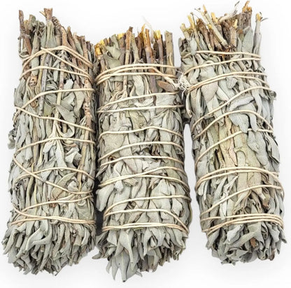 Yerbero California White Sage 3-Pack 5 Inch