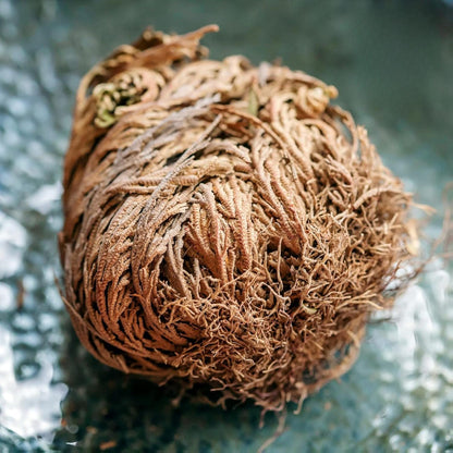 Yerbero - 3 Piece Bundle Rose of Jericho Dried Flower | Selaginella Lepidophylla | Resurrection Plant | 3 Medium Size Roses | Abundance, Prosperity, Sacred Doradilla Plant