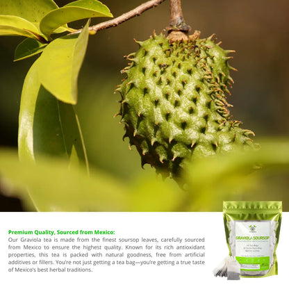 Soursop (Guanabana) Tea Bags – 40 Count 4.2oz
