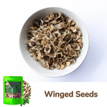 Moringa Seeds | 8oz (226g) Approx. 800+ Seeds