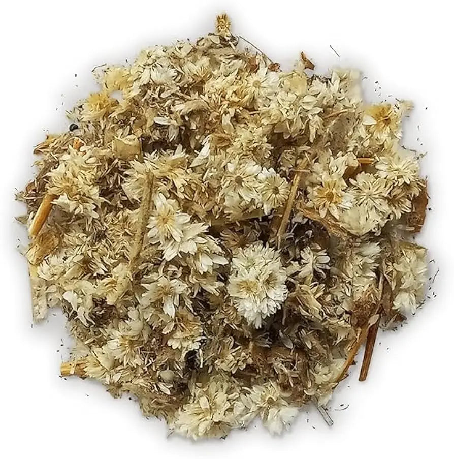 Mexican Mullein Flowers & Petals Tea 4oz (114g)
