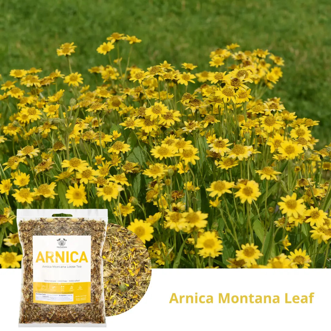 Herbalista Arnica Montana Leaf Tea 4 oz (114g)