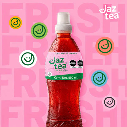 Jaztea 4 Pack Variety Bundle 500ml  (16.9 fl oz)