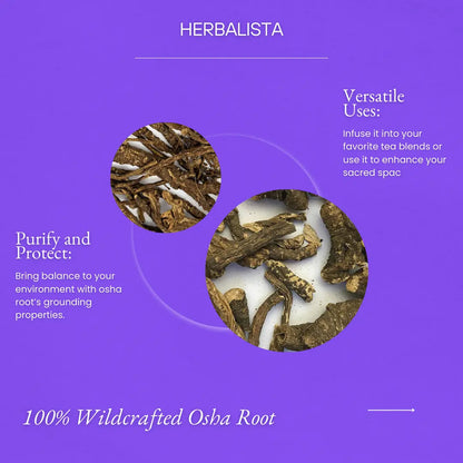 Wildcrafted Osha Root 1oz (28g)