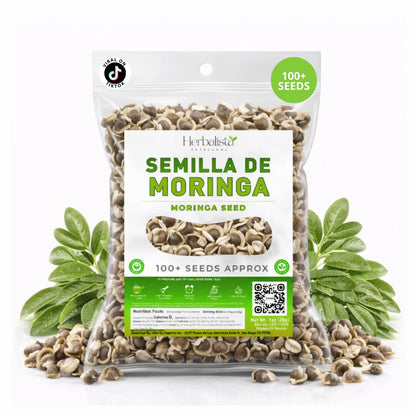 Herbalista Moringa Seeds 1oz (28g) Approx. 100+ Seeds
