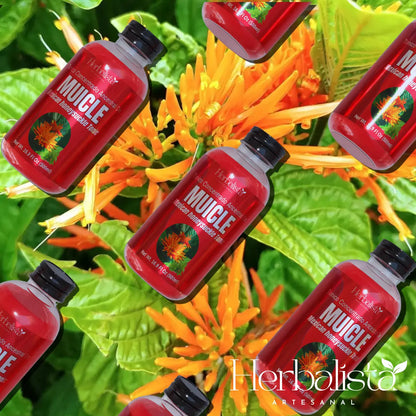 Muicle (Mexican Honeysuckle) Herbal Tonic 500ml (16.9 fl oz)