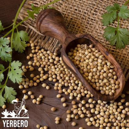 Yerbero Coriander Seeds 7oz (198g)