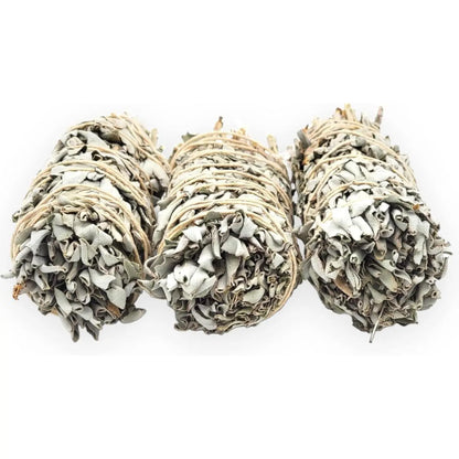 Yerbero California White Sage 3-Pack 5 Inch