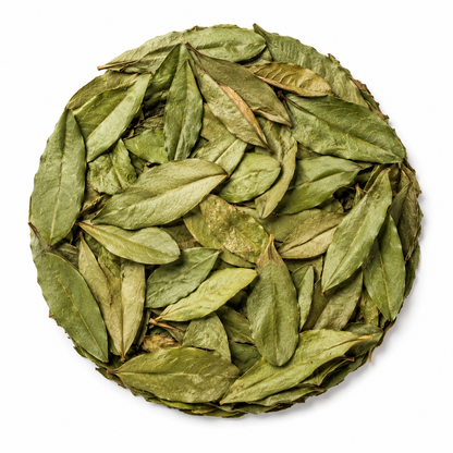 Bulk Premium Graviola Soursop Leaves | Hoja De Guanabana Entera a Granel Calidad Premium, 100% All Natural Delicious Fresh Tea | From Mexico | Premium Wildcrafted Quality.