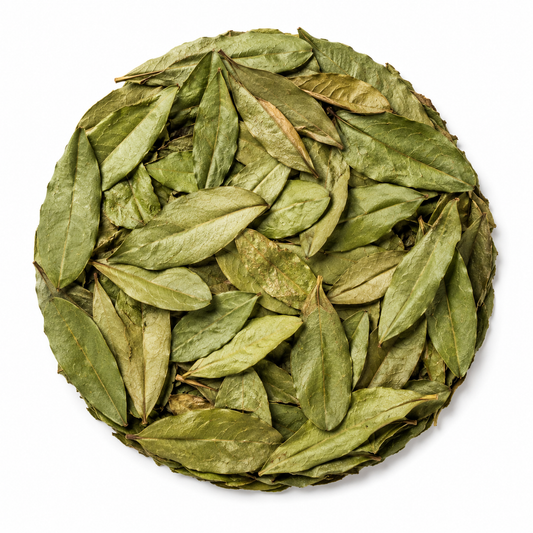 Bulk Premium Graviola Soursop Leaves | Hoja De Guanabana Entera a Granel Calidad Premium, 100% All Natural Delicious Fresh Tea | From Mexico | Premium Wildcrafted Quality.